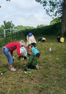Low Port School Volunteers in Wild Flower Garden