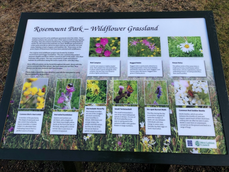Wildflower Panel Rosemount Park 2.jpg