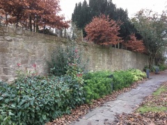 Graveyard Wall behind Burgh Halls MG