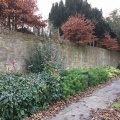 Graveyard Wall behind Burgh Halls MG