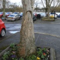 Lochside car park