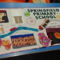 Springfield School Banner Shona Robertson