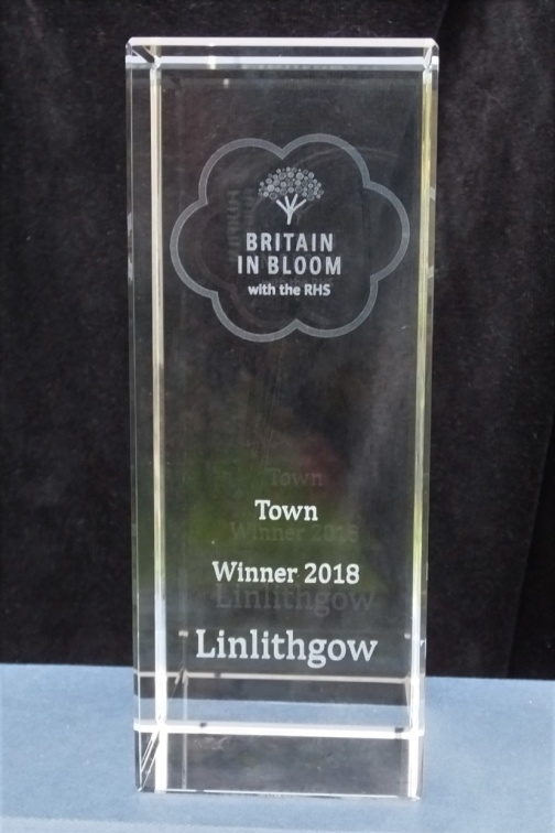 BinB Town Trophy