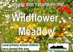 Wildflower meadow sign