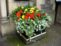 St Peter's Planters2
