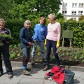 150603 Vennel bed planting