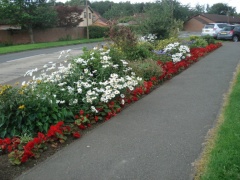 Spar flower bed pavement view JA