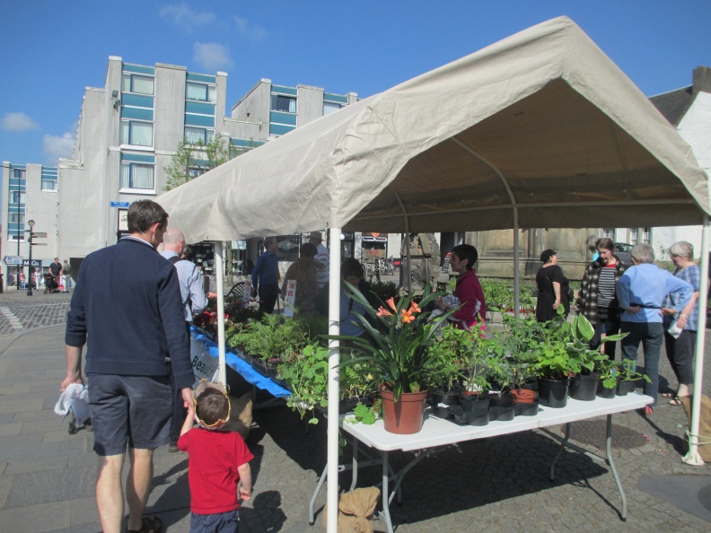 Plant sale 4 31 May 2014 TO.JPG