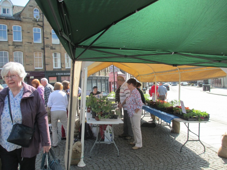 Plant sale 6 31 May 2014 TO.JPG