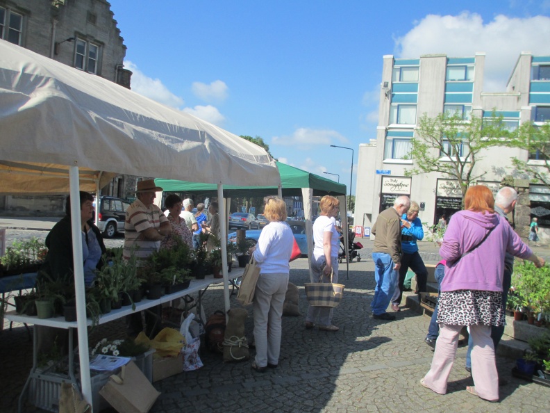 Plant sale 7 31 May 2014 TO.JPG