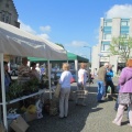 Plant sale 7 31 May 2014 TO