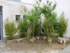 LPS Arbour 0512 TO