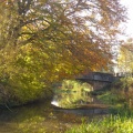 6.3 Canal at Friars Brae autumn CL
