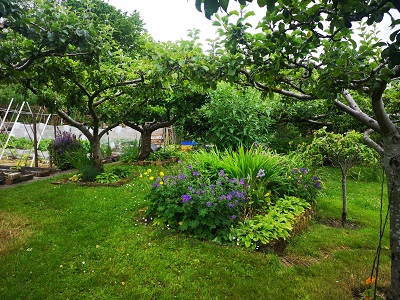 Greenpark Cottages Garden Apple Trees