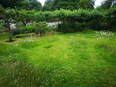 Greenpark Cottages Wildflower Lawn