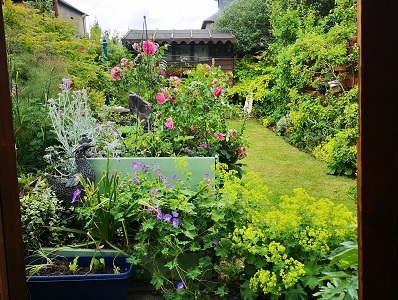 View from the Summer House in Preston Terrace Garden
