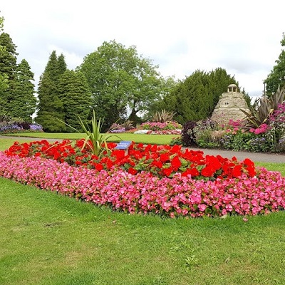 Flower bed in Learmonth Gardens