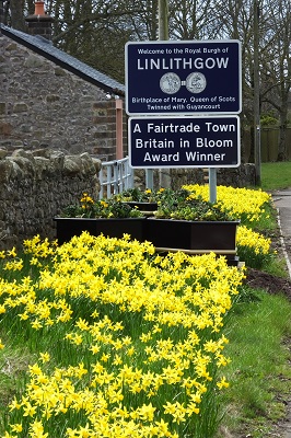 Blackness Road Town Entrance Planters