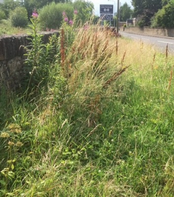 Edinburgh Road entrance to the town hidden by weeds