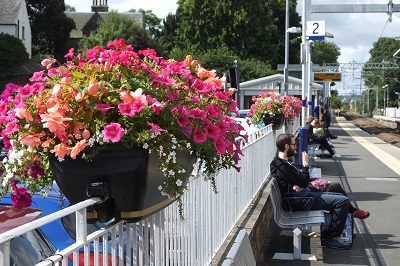 Platform 2 Railing Planter